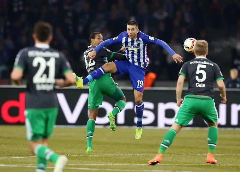 03cd89741938a5edcead007d567e0d17