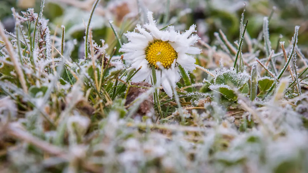 b90964fcb40cc21ad377ed8f68accb2b