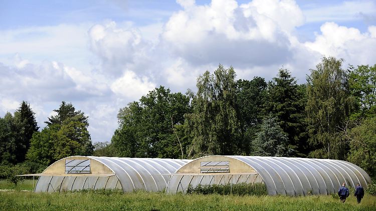 Gegen den verdächtigten Biohof in Bienenbüttel liegen keine Beweise vor.
