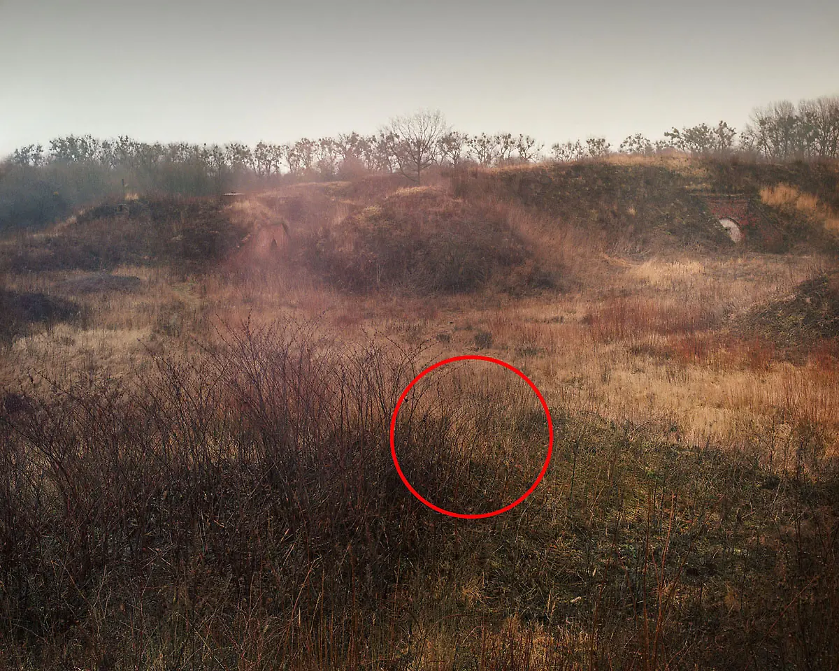 Menner-Camouflage-Solution-022