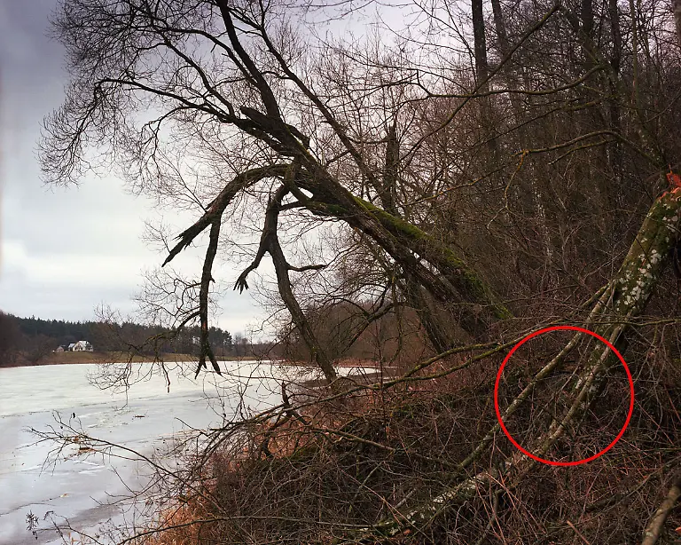 Menner-Camouflage-Solution-015