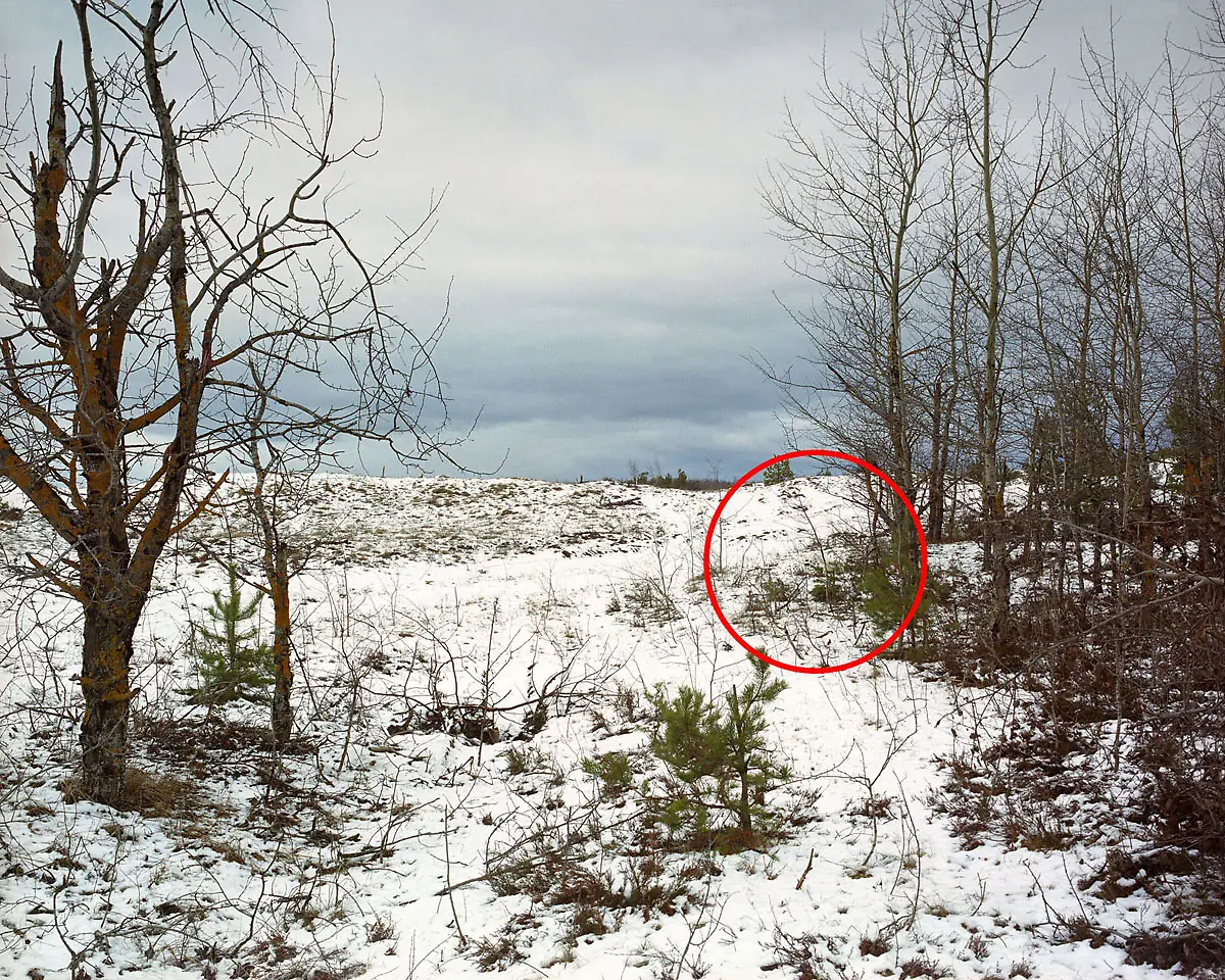 Menner-Camouflage-Solution-009