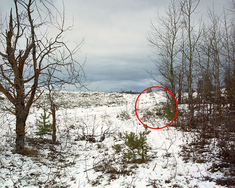 Menner-Camouflage-Solution-009