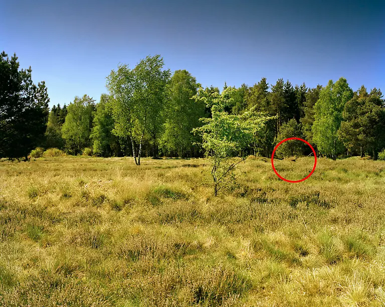 Menner-Camouflage-Solution-037