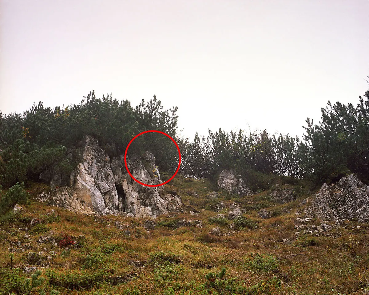 Menner-Camouflage-Solution-033