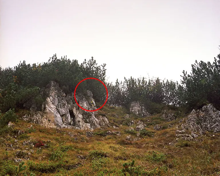 Menner-Camouflage-Solution-033