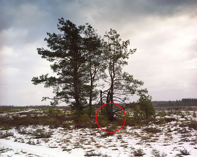 Menner-Camouflage-Solution-004