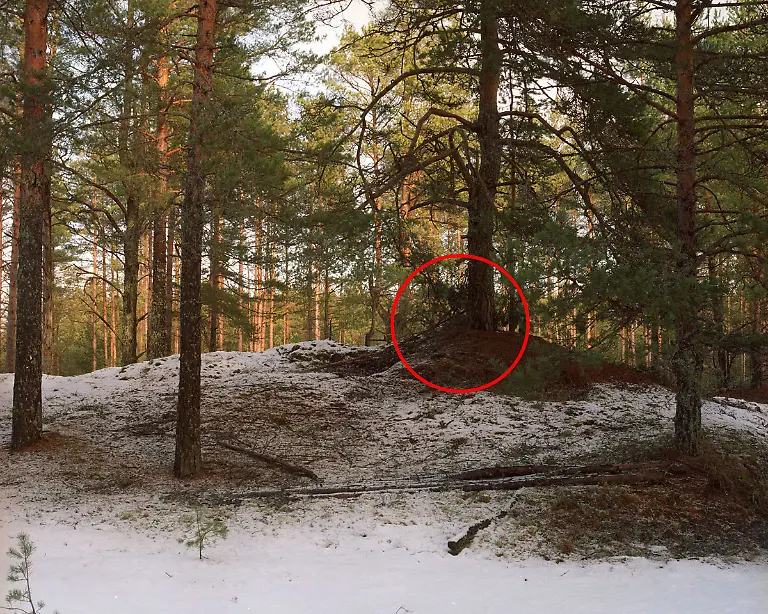 Menner-Camouflage-Solution-001