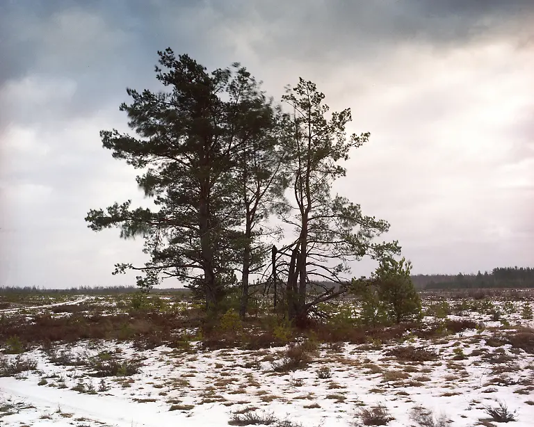 Menner-Camouflage-004