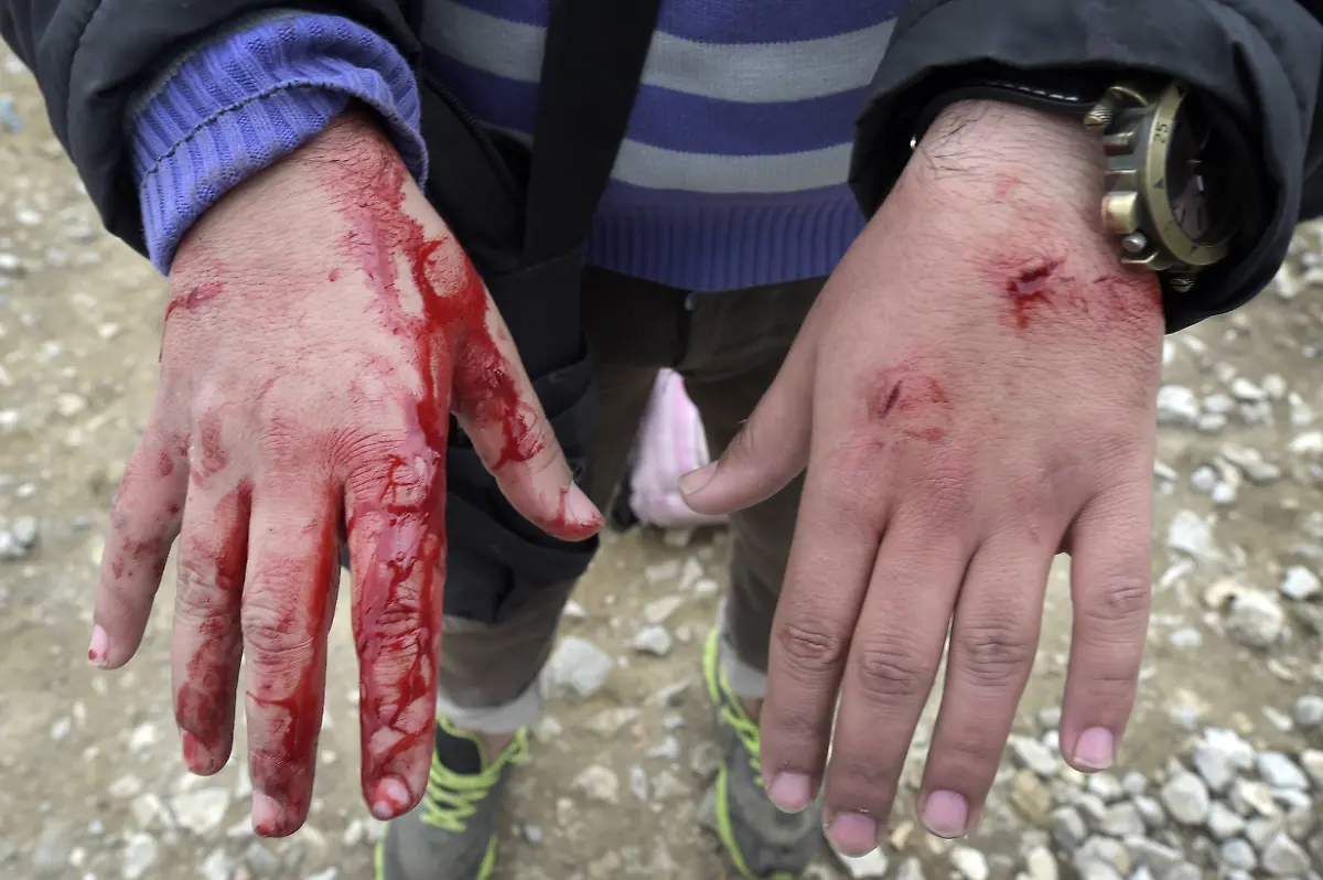 337242d3127682286bd32c31f86baf17