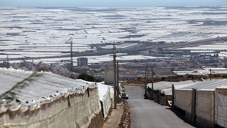 Das "Plastikmeer" im andalusischen Almería sorgt zunehmend für Sorgen, da der ganzjährige Gemüseanbau der Umwelt schadet.