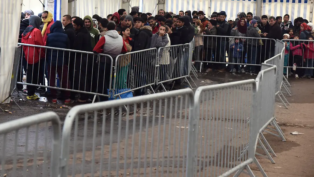 0c5a13db8498ff29c2eb76b32abe46b8