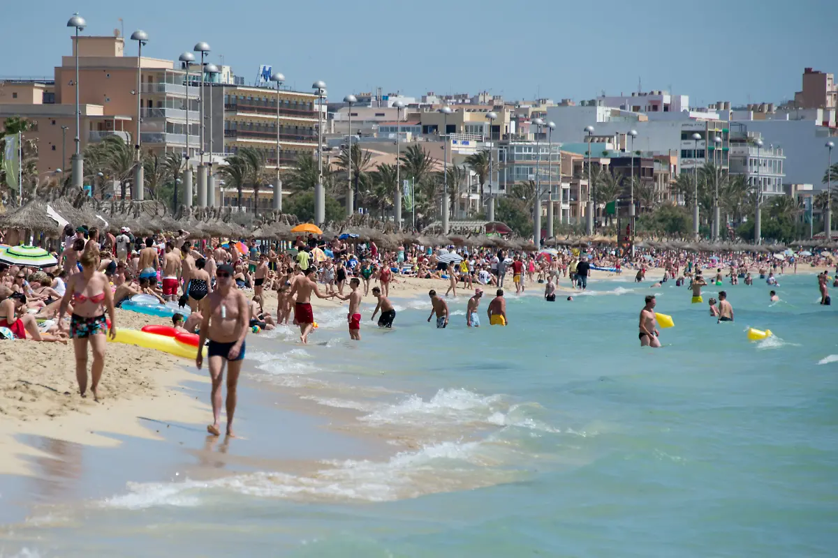 4c74aa35d155dc5e343539cf9ed3c7fb