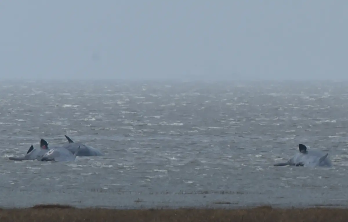 f3490e01dd5632148b3b42f638fd532d