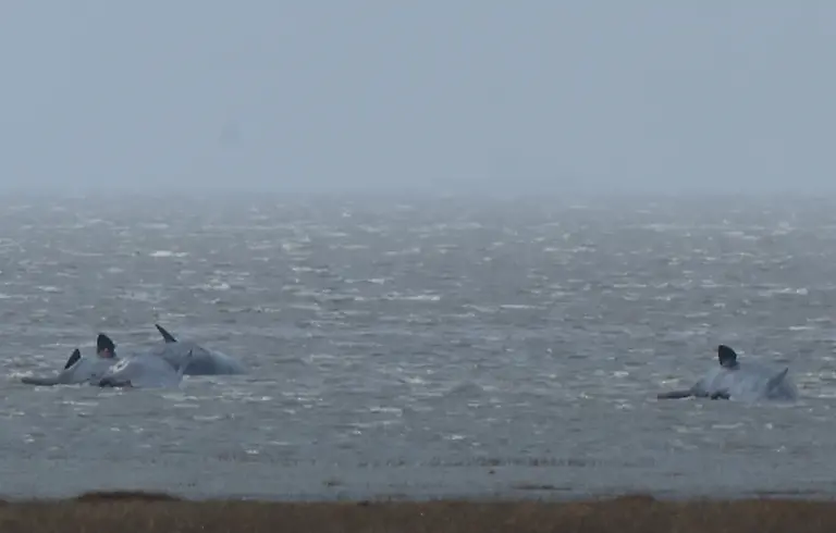 f3490e01dd5632148b3b42f638fd532d