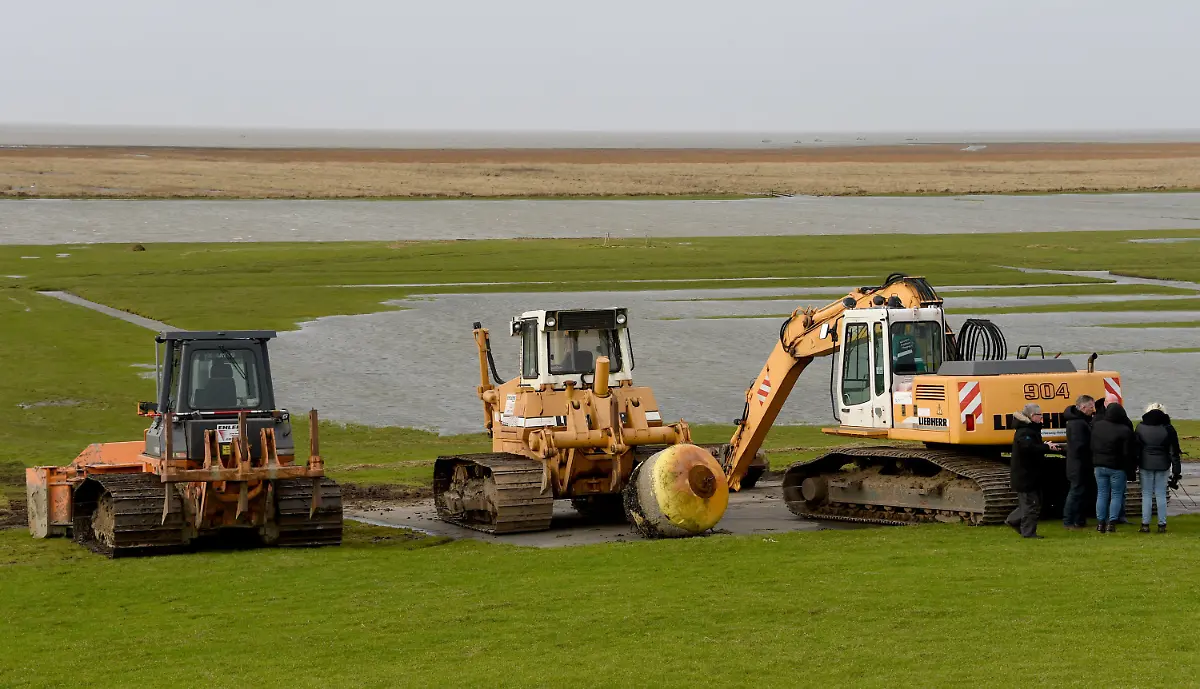 bdf29b835ef5f9f48cfd395355ece0bc