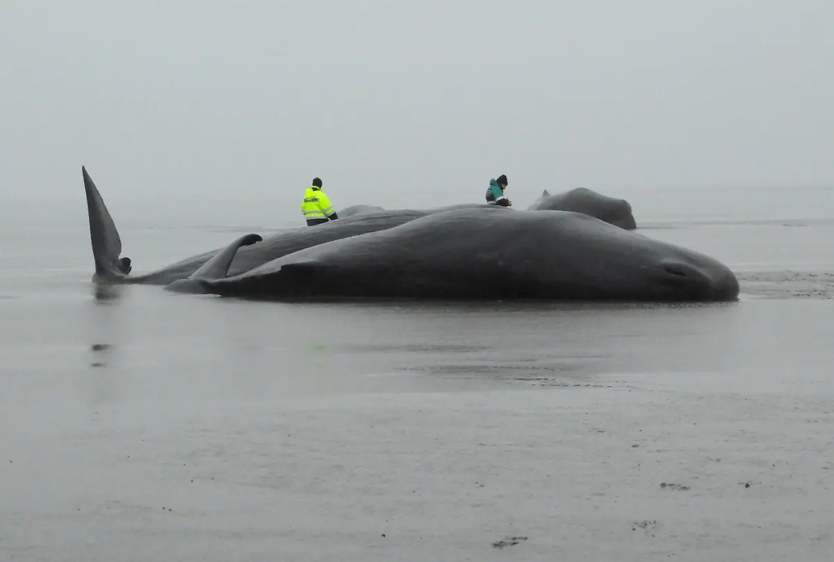 aa8d3a4cc4b6664efaa9ca3892f21058