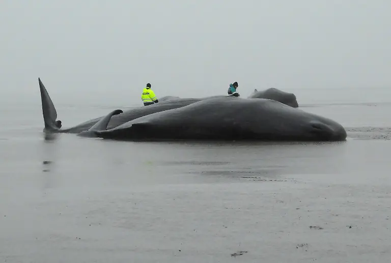 aa8d3a4cc4b6664efaa9ca3892f21058