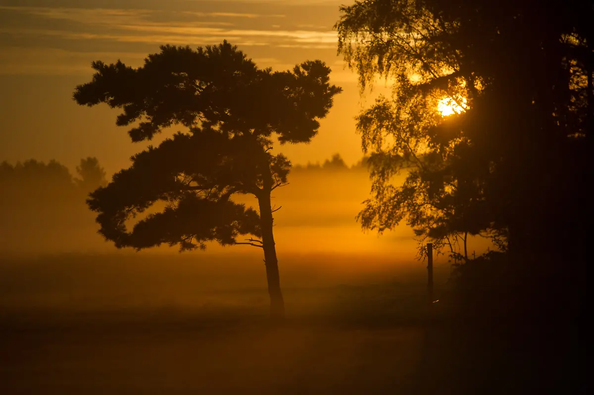 9cac12b9f9fded3a7289ec426099626c