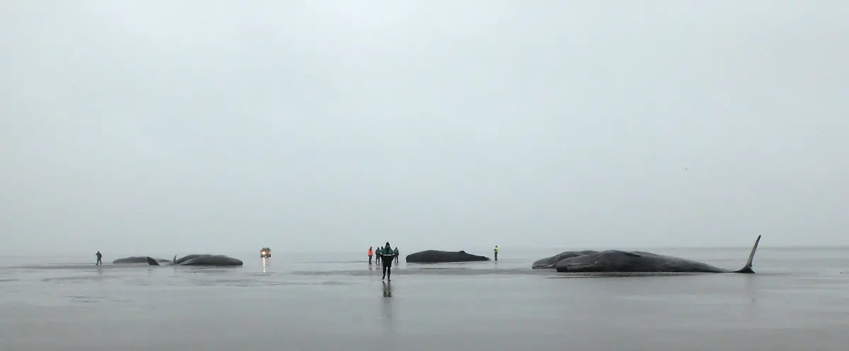 b10360f97df88edfda04aa4cc74bec0b