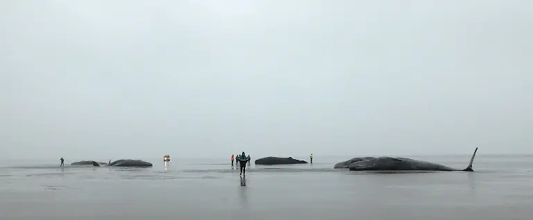 b10360f97df88edfda04aa4cc74bec0b