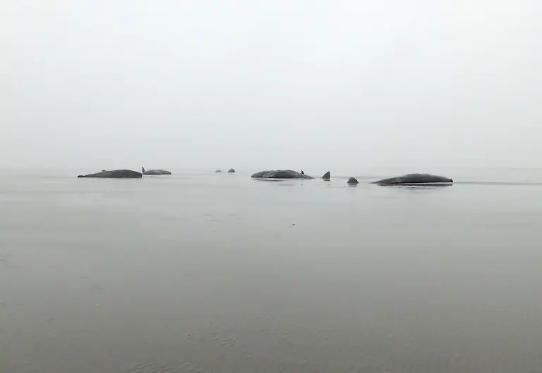 2caf052cb0010a53233bdcc3fb293786