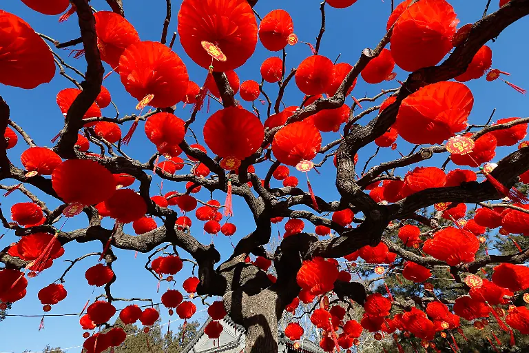 829d1252d871de60031dfcf8693e6ab1