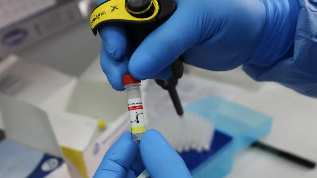 3b68bbfd04171df76a5741d4b2b858e6