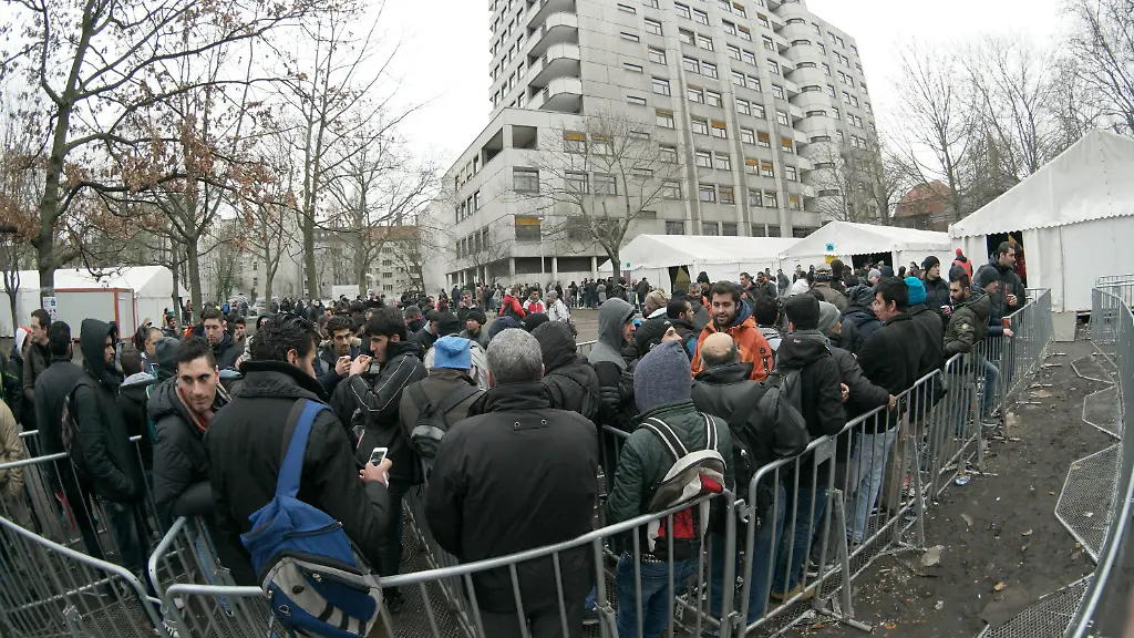 310bdd33d038e0b7d9648a38853c550b