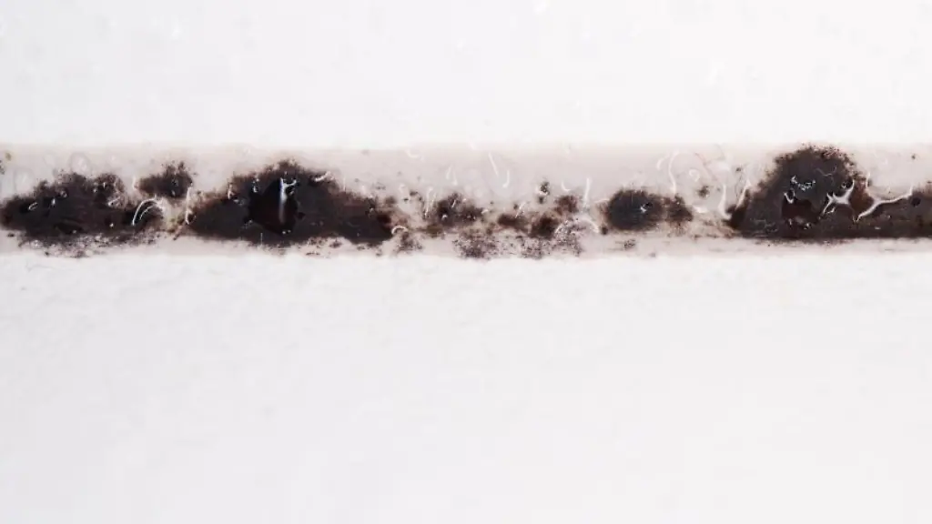 In-Fugen-setzen-sich-Schimmelpilze-besonders-gerne-fest-und-bilden-ihre-schwarzen-Geflechte