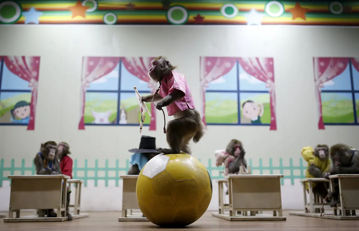 cf1253c7e370e512ac4c78ca24c54442