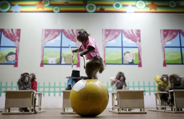 cf1253c7e370e512ac4c78ca24c54442