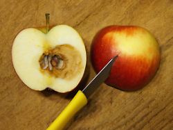 Versteckte Preiserhöhung: Das ist die "Mogelpackung des Jahres 2025"