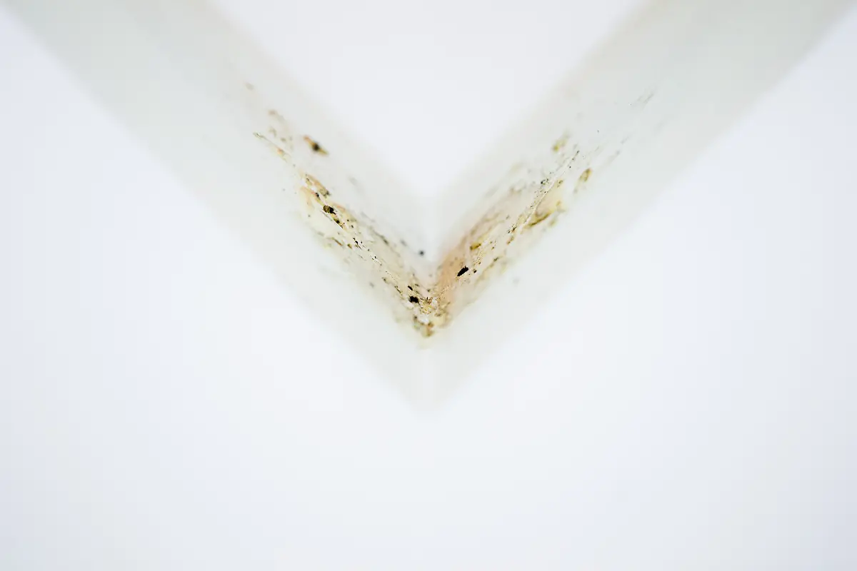 joseph-beuys-fettecke