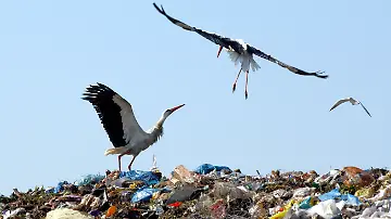 e64e28cdafe65e570fe922ab33ad83a8