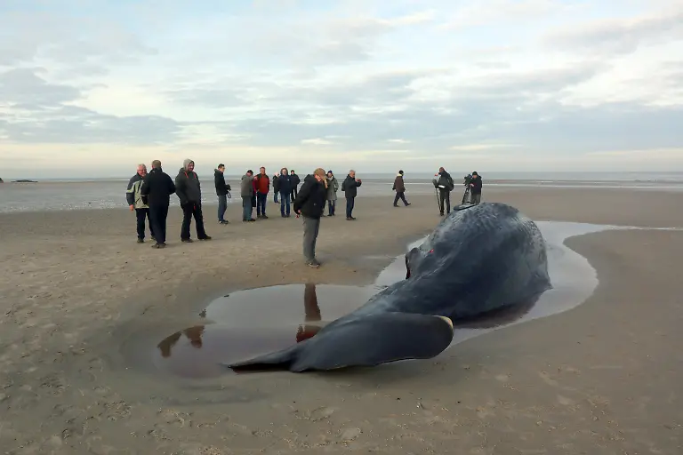 a5366d1e89e2e307fbedf33e0cf08b2e