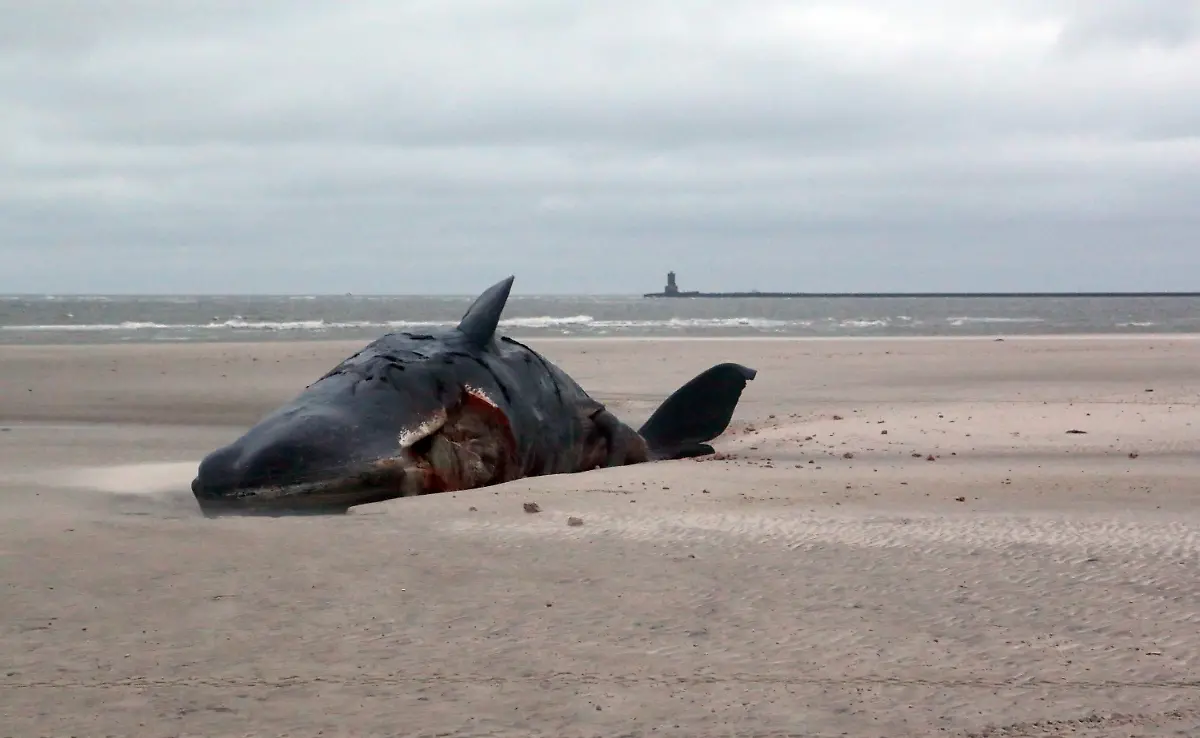 1f8c48906744ebca191f2b10e2f483b3