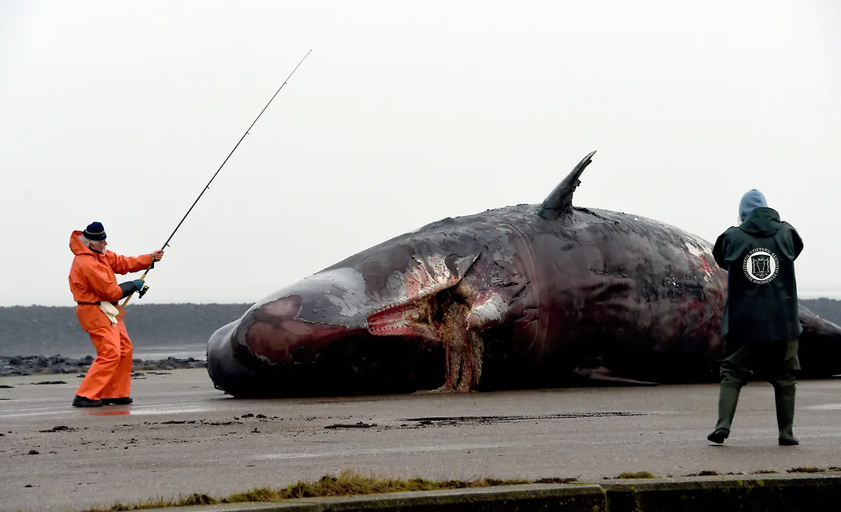 04b1c057b958d416a5d8e2e755b91d54