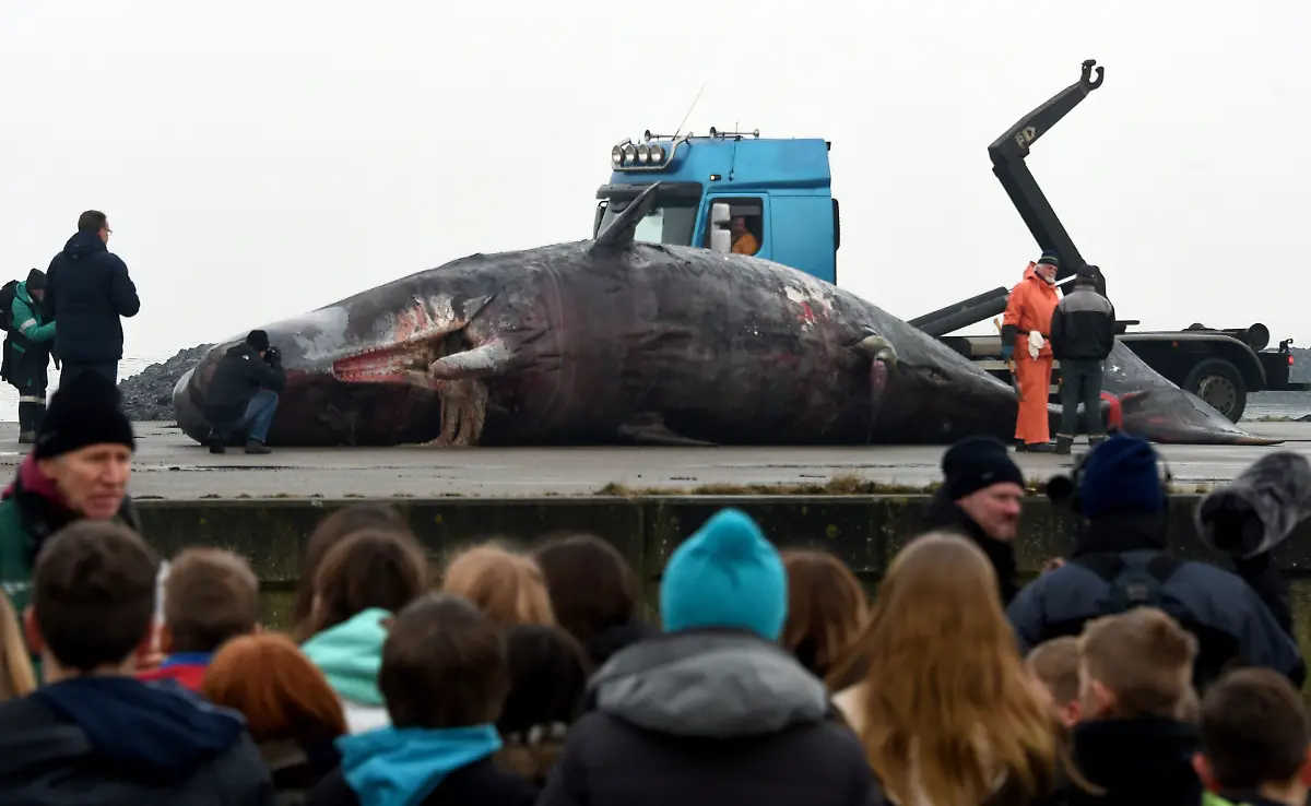 6ced2bb7e9dd0b2f10b31d5a01227aec