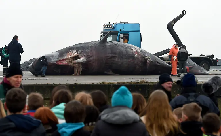 6ced2bb7e9dd0b2f10b31d5a01227aec