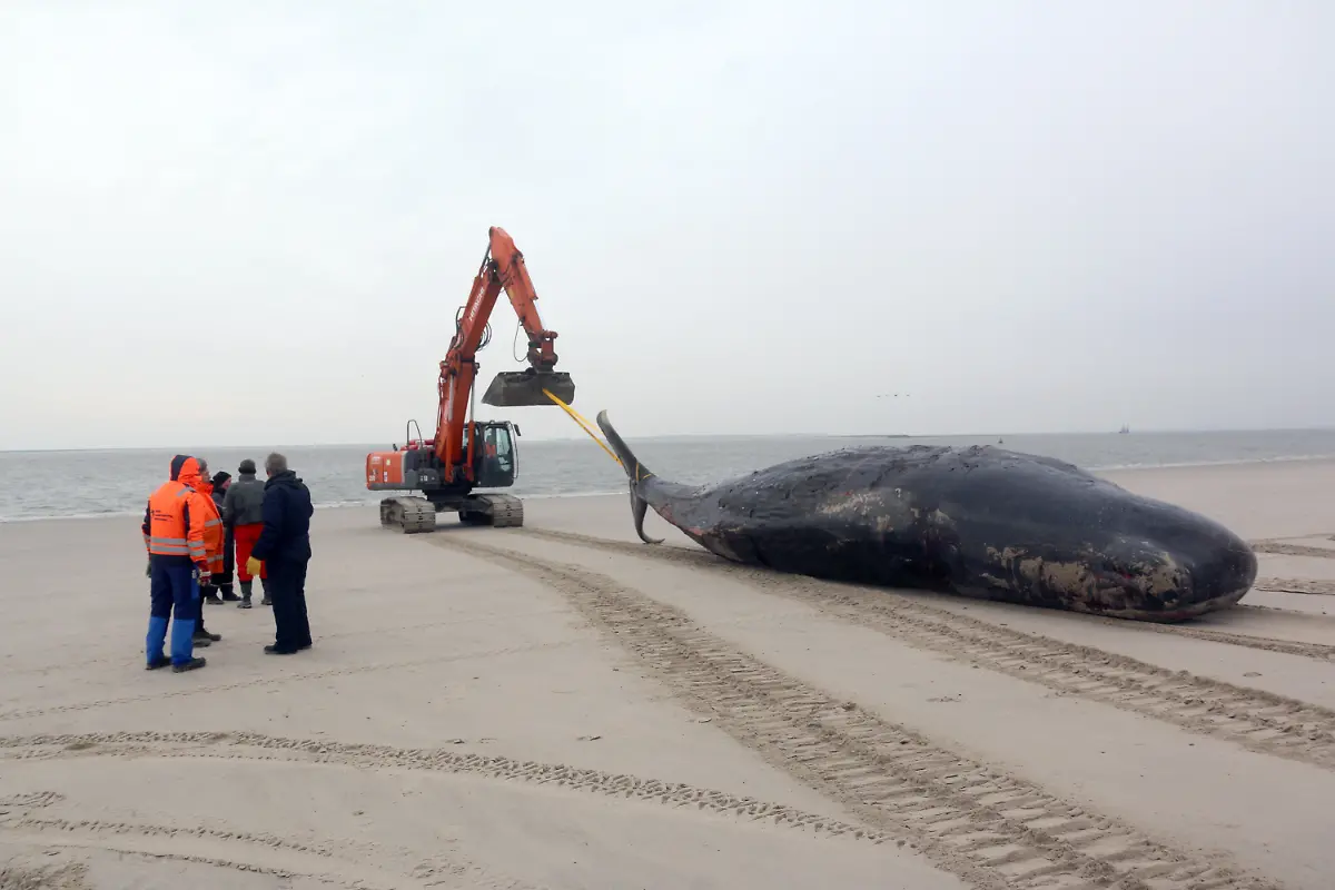 e5be4c9c25d1376abaf307c5f7a4f58c