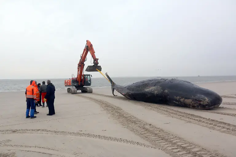 e5be4c9c25d1376abaf307c5f7a4f58c