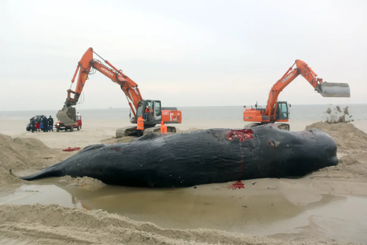 c1ac1d43b1a2a4fc1c0d666e1a14a275