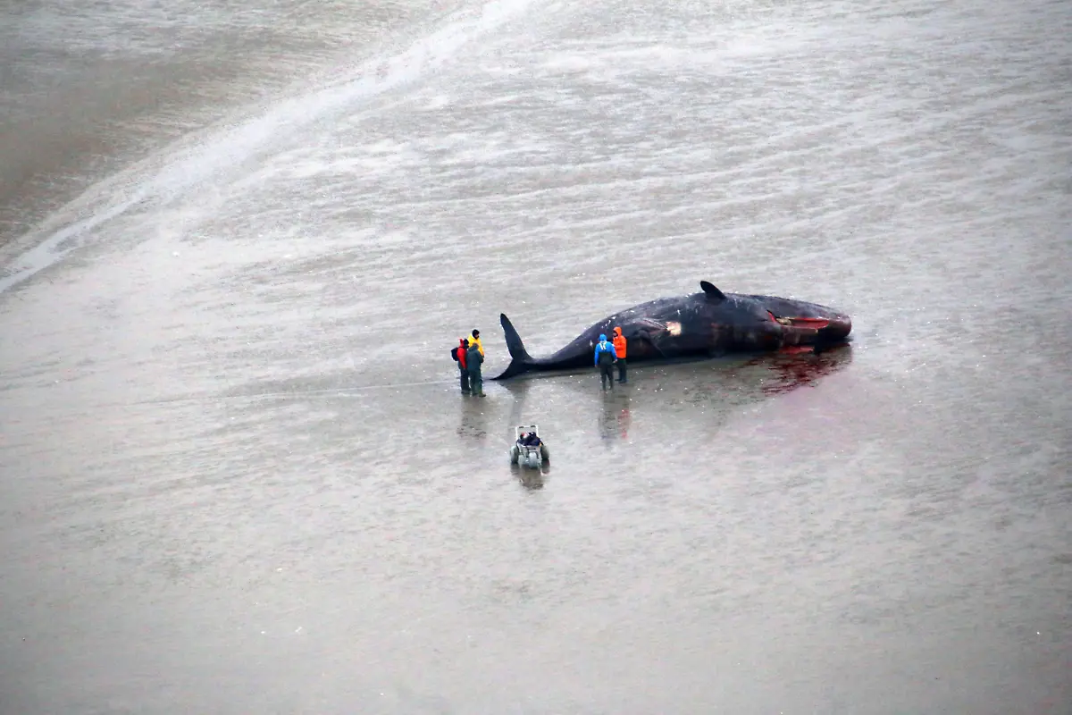 9b70f7dc9186394def3a6658539d3122