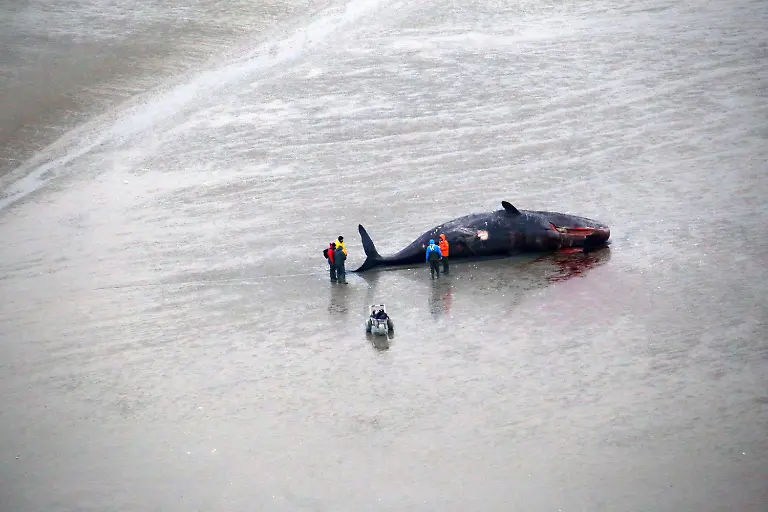 9b70f7dc9186394def3a6658539d3122