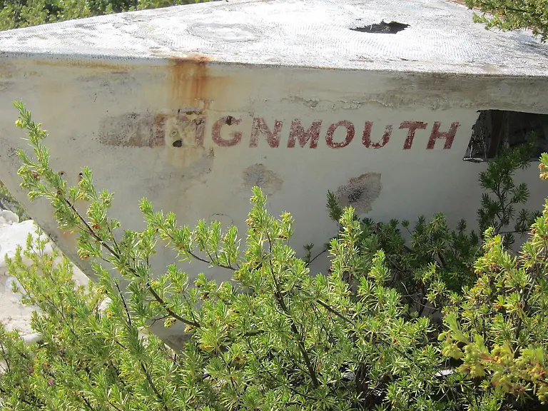 TeignmouthElectronWreck