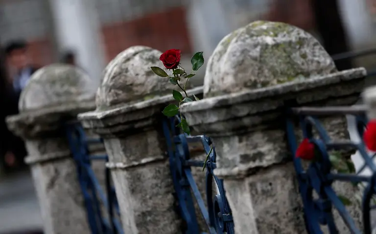 2c5fd3b118d519a5f33cbe3f0d420a20