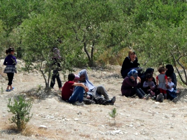 Nahe der türkischen Ortschaft Guvecci warten Flüchtlinge auf der syrischen Seite der Grenze, um in die Türkei zu gehen.