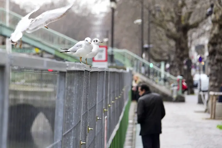 b22a64634b821626c13f612dac13ca58