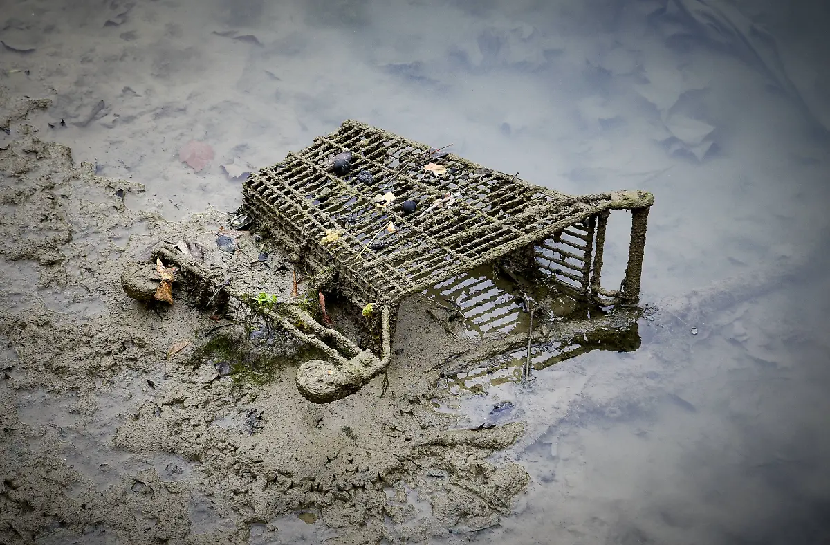 c25c79a016228a58e27423d6e8a97d7f